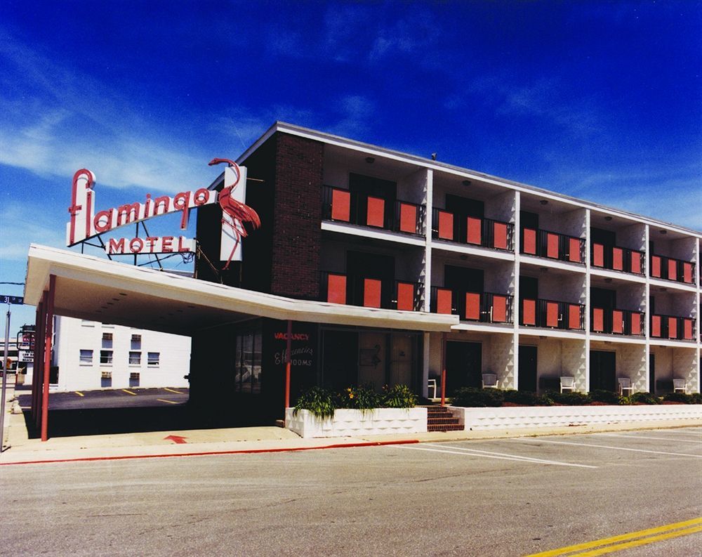 Flamingo Motel Ocean City Exterior foto